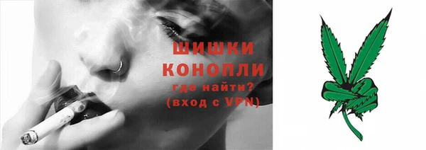 стаф Сосновый Бор